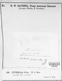 Image Associated With the Occurence